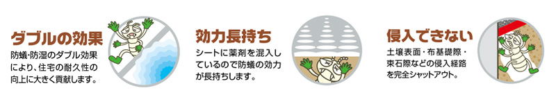 �A���_���V�[�g�H�@�A�V���A���΍�